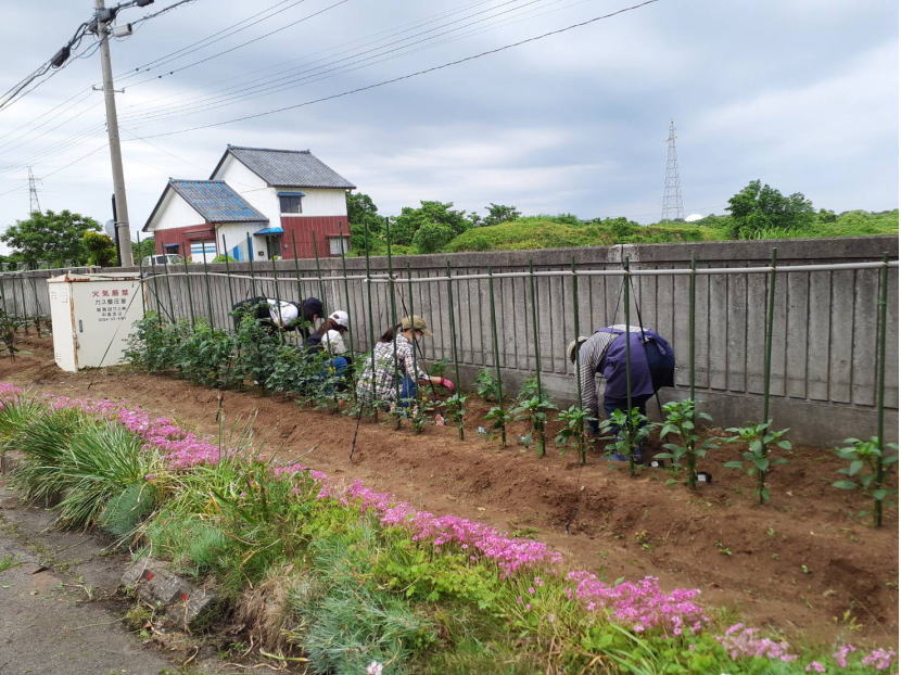 環境整備活動　2023.6.10